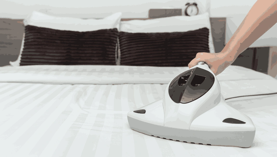 Professional Mattress Cleaning Toolangi