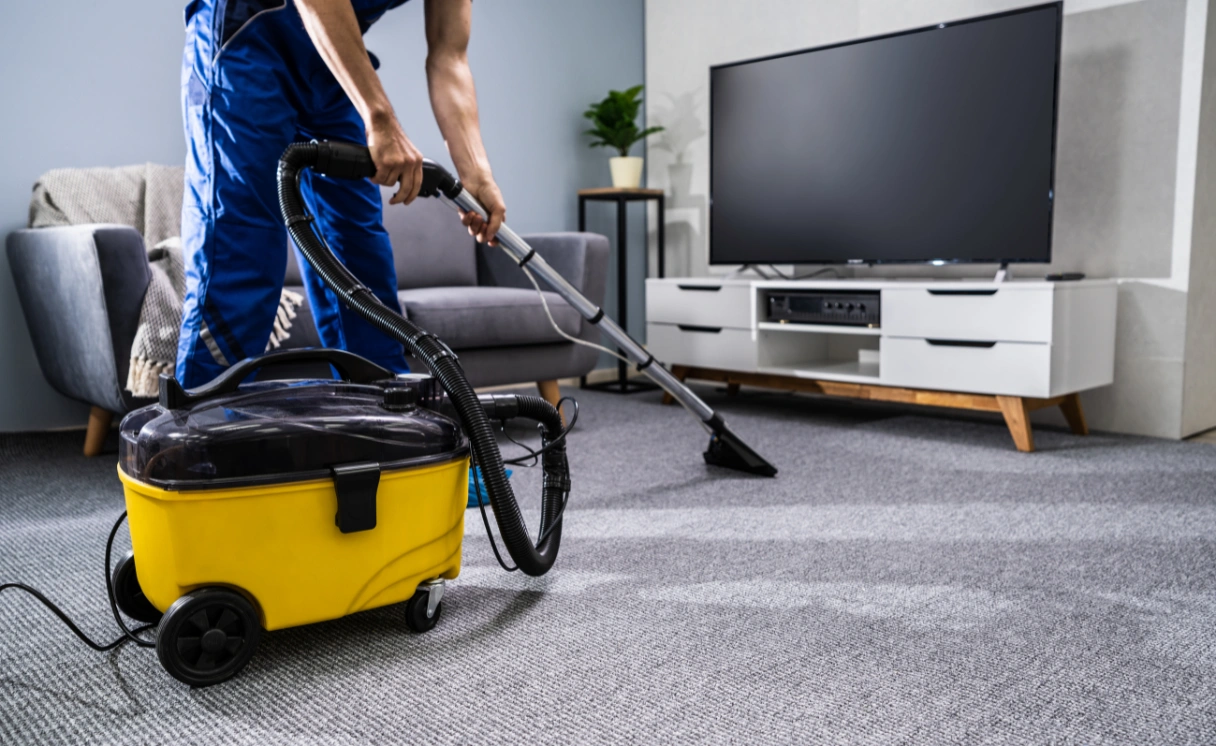Extract Mattress Cleaning Toolangi Contact Office